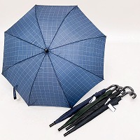 �a�m�ϕ����U�T�����i�o�i���n�E�i�q�j