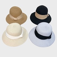 �V���v�����{�������X�q