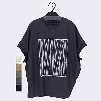 �w�l�O�g�v�����g�؂�ւ��h���}���s