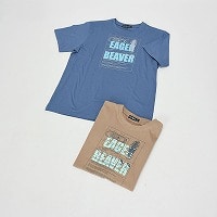 �a�m�����C���X�g���s�V���c�S