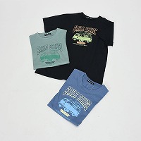 �a�m�吡�������`�[�t���s�V���c�T