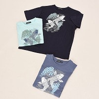 �a�m�����a���s�V���c�Q