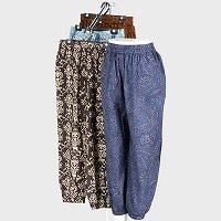 �w�l�ԕ��T���G���p���c