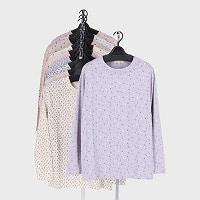 �w�l���������v�����g�s�V���c�Q��