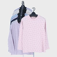 �w�l���������v�����g�s�V���c�Q��