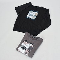 �a�m�吡���N�уN���[�g���[�i�[���`�[�t���S