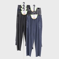 �w�l���i���߃|�P�h���イ�p���c