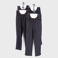 �吡�w�l���Q�i�q�v�����g�Z���^�[�V�[���p���c