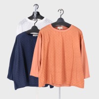 �w�l�V�����O�g���[�X�ؑփv���I�[�o�[