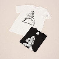 �a�m�����h���S���{�[���v�����g�s�V���c