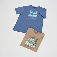 �a�m�����C���X�g���s�V���c�S