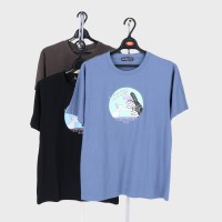 �a�m�����C���X�g���s�V���c�T