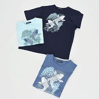 �a�m�����a���s�V���c�Q