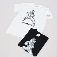 �a�m�����h���S���{�[���v�����g�s�V���c