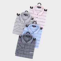 �a�m�u�����h�����i�q���̎q�|���V���c