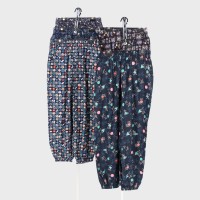 �w�l�a���v�����g�T���G���p���c