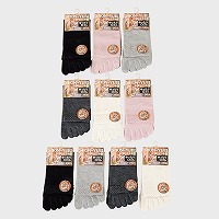 �y�o���h���z�w�l5�{�w�\�b�N�X�N���|��