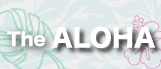 �A���n�V���c