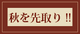�H������t�@�b�V����